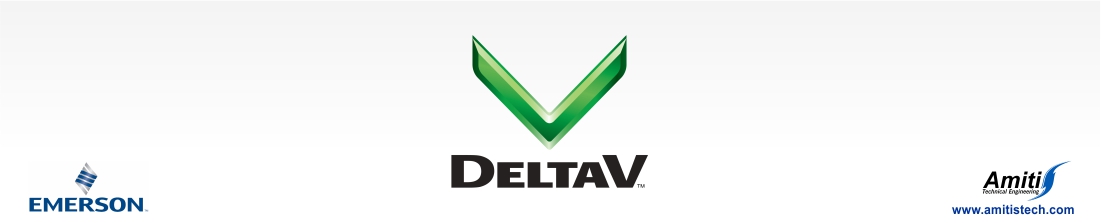 Representatives of Deltav in Iran